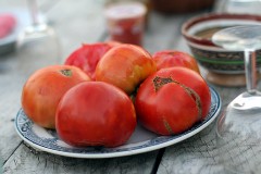 confit of tomatoes