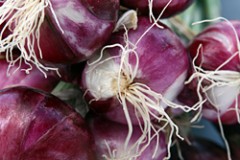 zuni pickled red onion