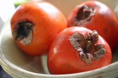 Persimmon Bread recipe