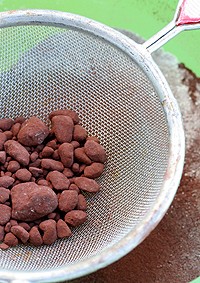 972801166_2a6b5a3415_o