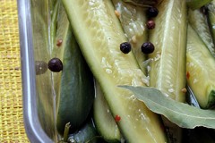 kosher dill pickles