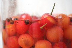 pickled sour cherries