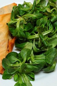 spanakopita