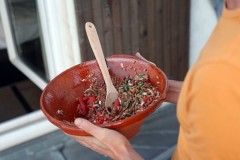 farro salad with mushrooms tomato basil