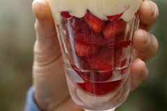 strawberries in sabayon 1