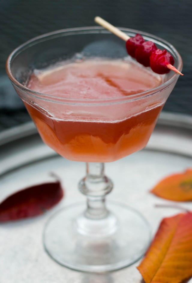Cranberry Shrub and Cranberry Shrub Cocktail - David Lebovitz